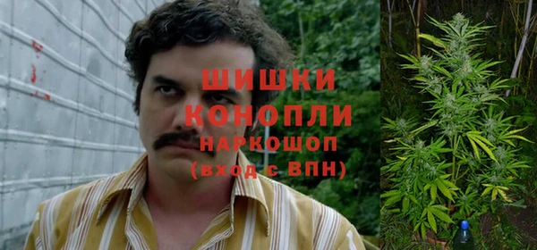 дживик Сясьстрой