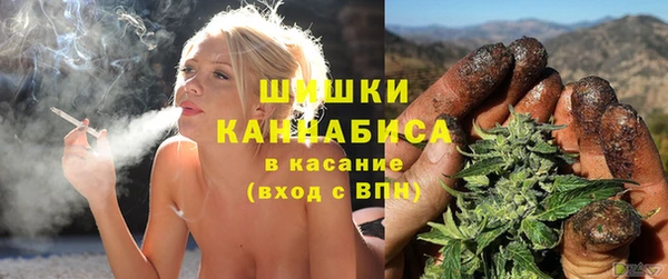 дживик Сясьстрой